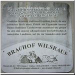 wilshaus (5).jpg